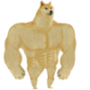 Test 123